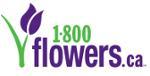 1-800Flowers Canada Coupons & Discount Codes