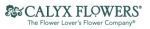 Calyx Flowers Coupons & Discount Codes