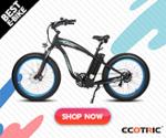 Ecotric Coupons & Discount Codes