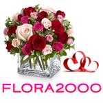 Flora2000 Coupons & Discount Codes