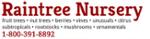 Raintree Nursery Coupons & Discount Codes