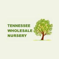 Tennessee Wholesale Nursery Coupons & Discount Codes