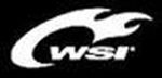 WSI Sports Coupons & Discount Codes