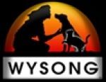 Wysong Coupons & Discount Codes